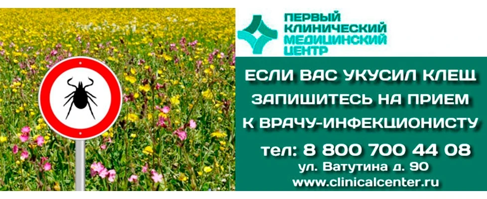 ОСТОРОЖНО, КЛЕЩИ!