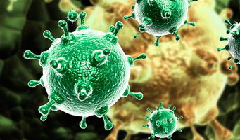 ИСКОРЕНИТЬ НЕЛЬЗЯ КОНТРОЛИРОВАТЬ