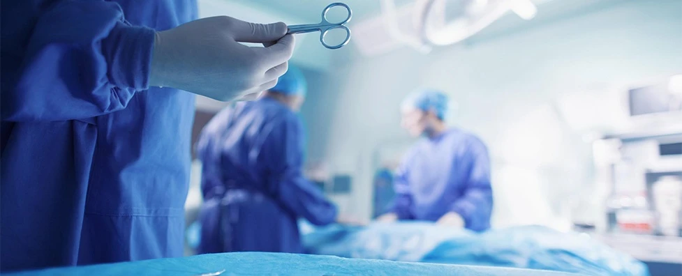 Впервые во Владимирской области!